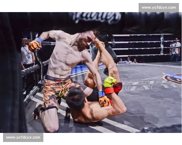 克罗地亚战警对决播求硬碰硬的站立格斗传奇之夜巅峰时代力量与技巧全面碰撞