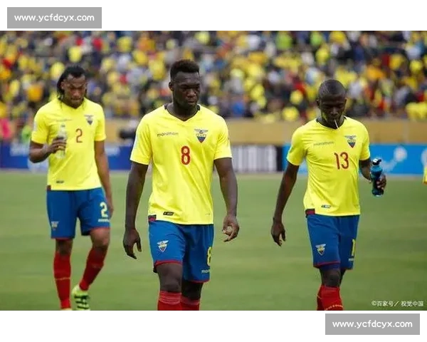 巴西对阵厄瓜多尔比赛走势与战术对比深度解析前瞻关键球员表现预测